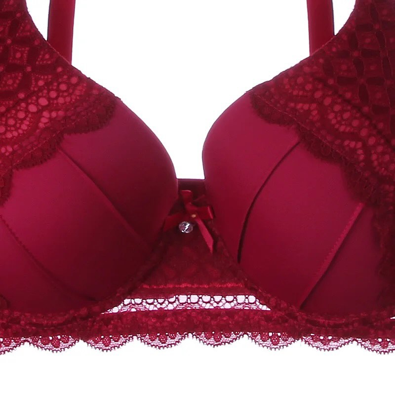 Basic Level 2 Cut Padded Wired Pushup Bra
