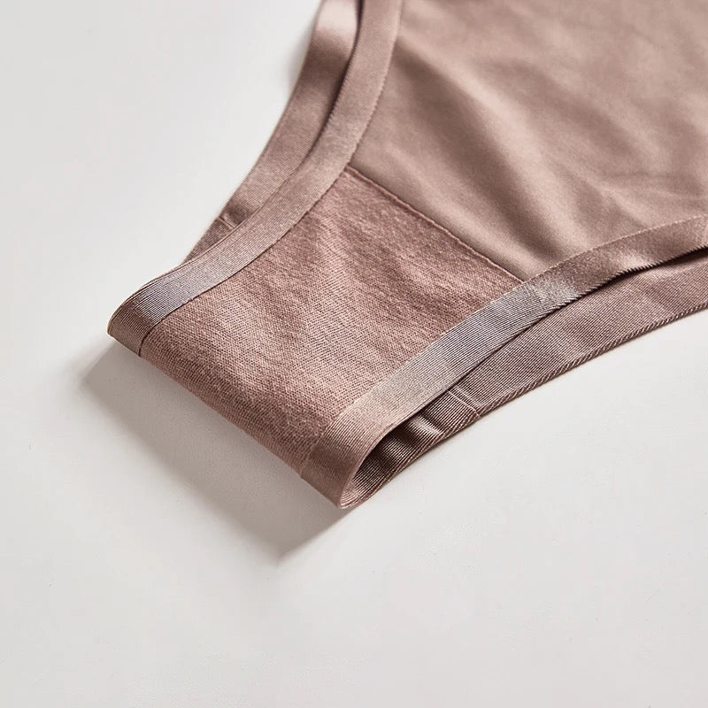 Ice Silk Thong Brief Panties Underwear