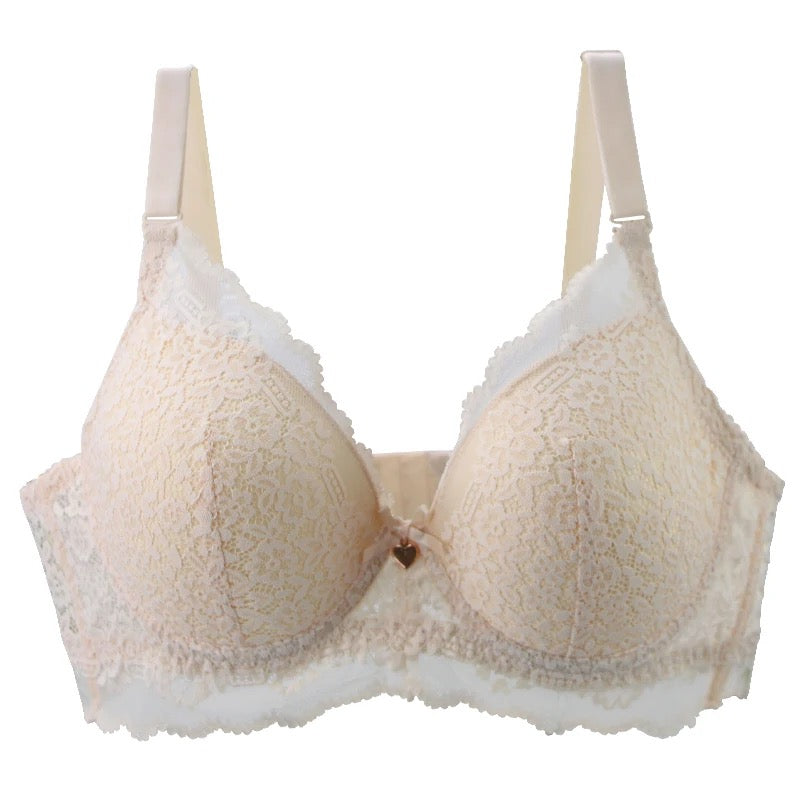 Pushup Bra D Cup Plus Size Bra