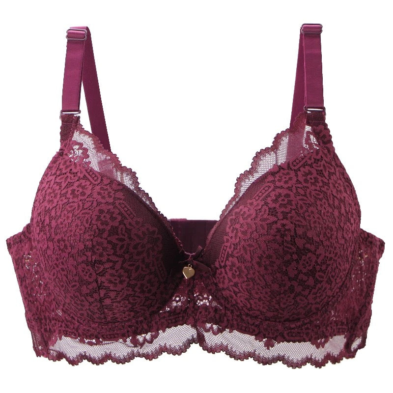 Pushup Bra D Cup Plus Size Bra