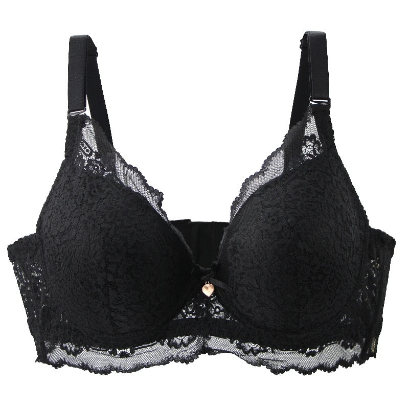 Pushup Bra D Cup Plus Size Bra