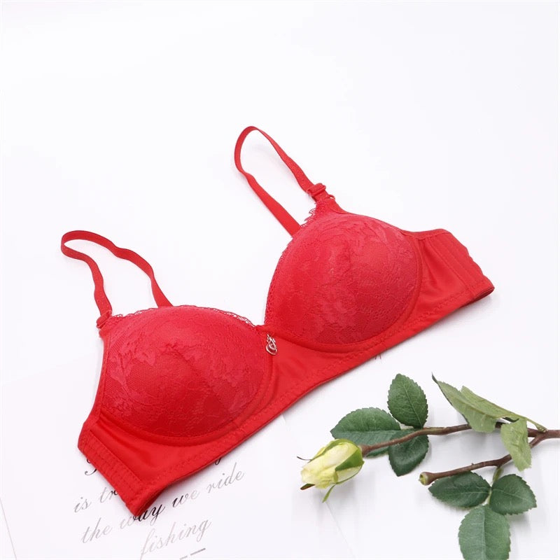 Soft Padded Wireless Mesh Bra
