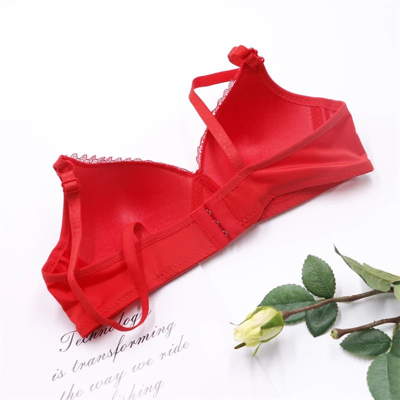 Soft Padded Wireless Mesh Bra