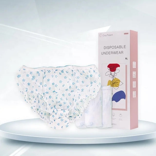 Disposable Period Underwear for Women