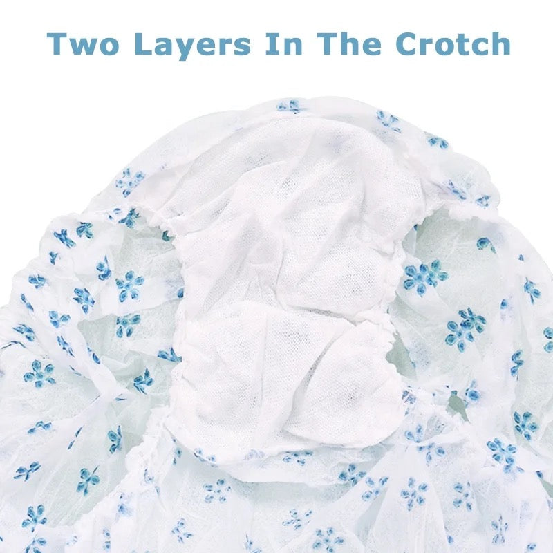 Disposable Period Underwear for Women