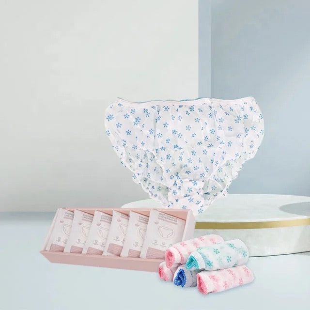Disposable Period Underwear for Women