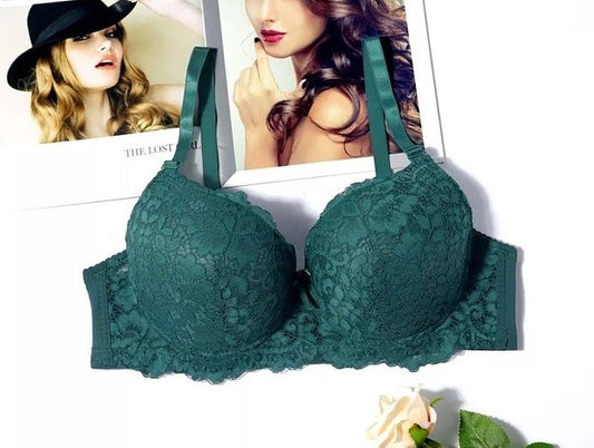 Daily Wear Mesh Pushup Bra