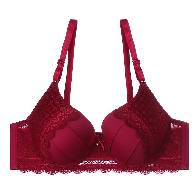 Basic Level 2 Cut Padded Wired Pushup Bra