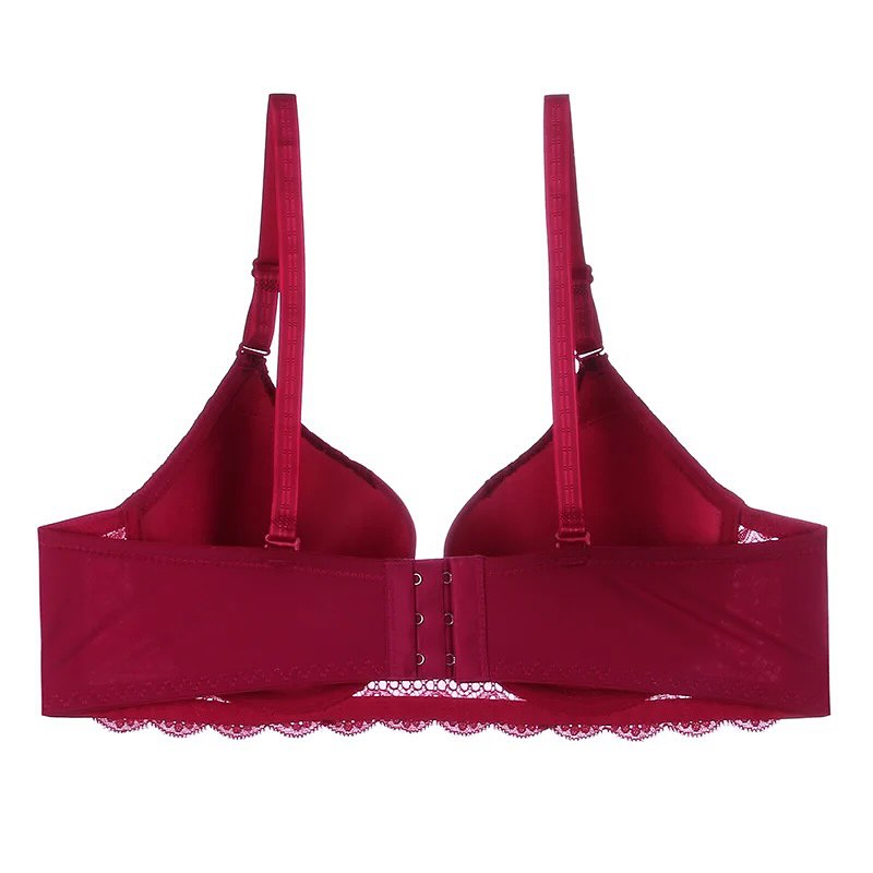 Basic Level 2 Cut Padded Wired Pushup Bra