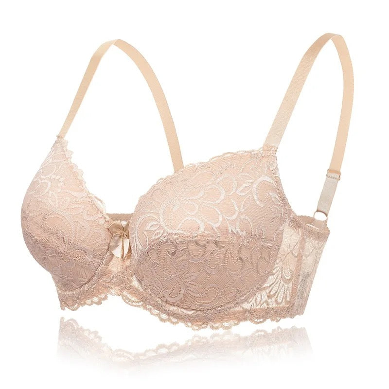 Soft Net Wired Pushup Bra Level 1