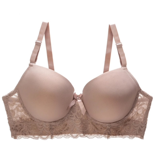 Lace Single Padded T-Shirt Bra - Basic