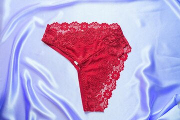 Women Soft Net Underwear Panties