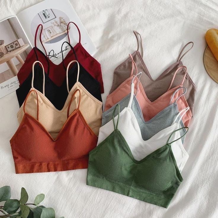 Daily Wear Bralette Bra